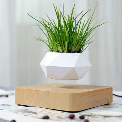 Hovergreen - Levitating Plant Pot