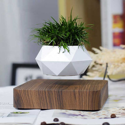 Hovergreen - Levitating Plant Pot