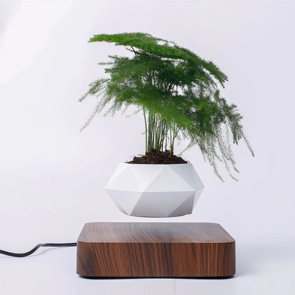 Hovergreen - Levitating Plant Pot
