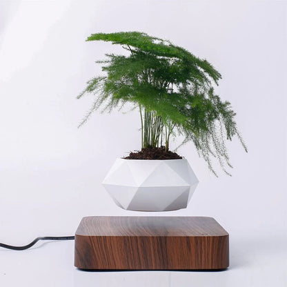 Hovergreen - Levitating Plant Pot