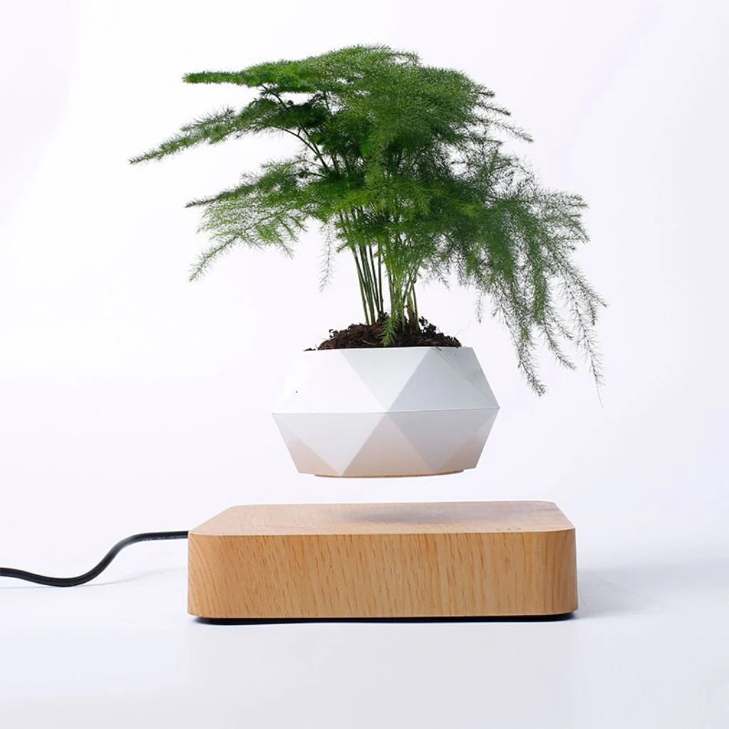 Hovergreen - Levitating Plant Pot