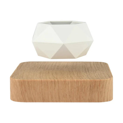 Hovergreen - Levitating Plant Pot