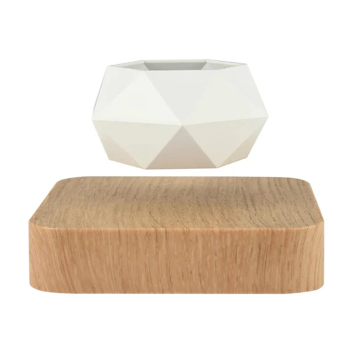 Hovergreen - Levitating Plant Pot