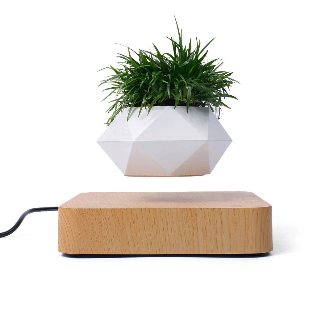 Hovergreen - Levitating Plant Pot