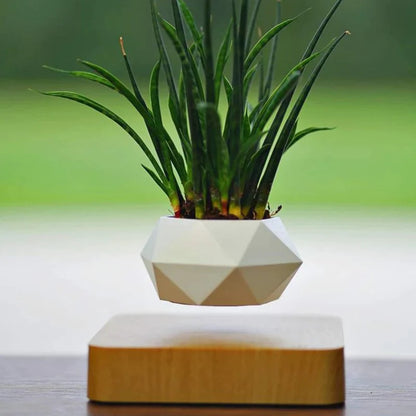 Hovergreen - Levitating Plant Pot