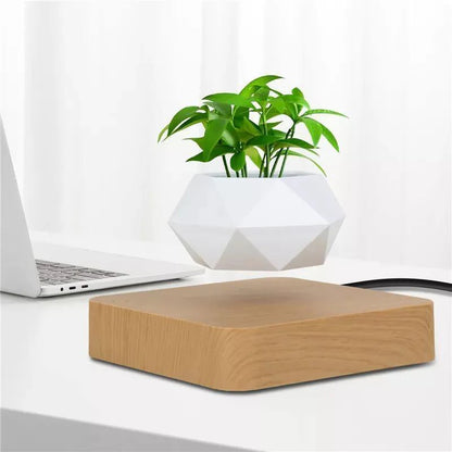 Hovergreen - Levitating Plant Pot