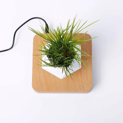 Hovergreen - Levitating Plant Pot