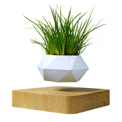 Hovergreen - Levitating Plant Pot