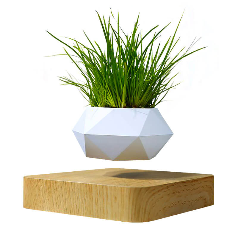 Hovergreen - Levitating Plant Pot